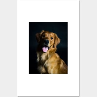 Golden Retriever Posters and Art